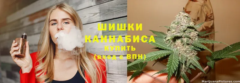 Бошки Шишки White Widow  Зима 